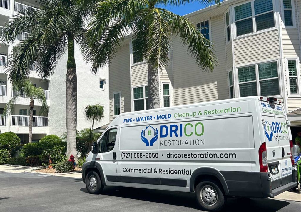 Toxic Black Mold Vs. Regular Mold: How Bad Is Black Mold For Your Health? 6 Drico Truck-2