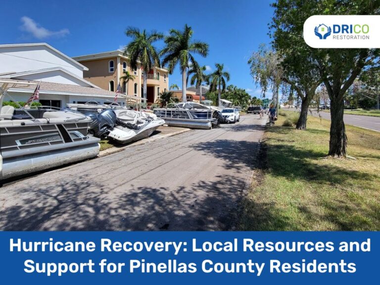 Hurricane Recovery: Local Resources And Support For Pinellas County Residents