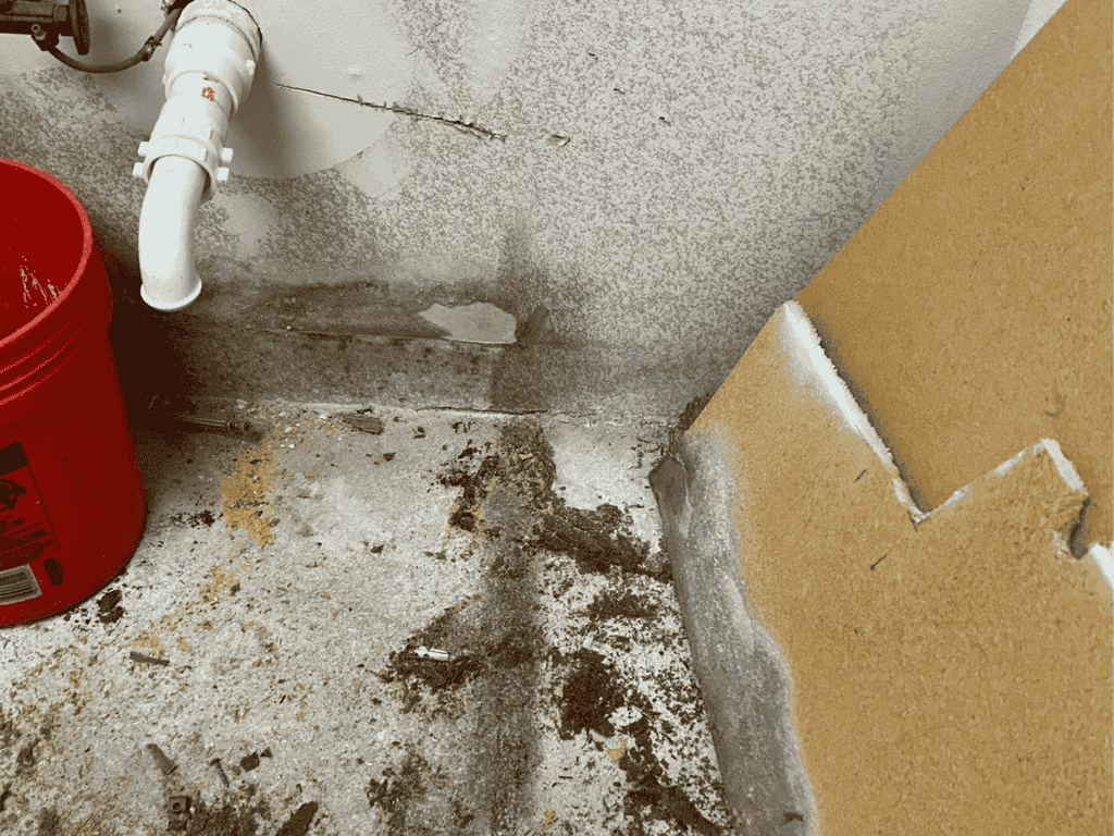 Close-Up Of A Corner In A Room Showing Water Damage With Mold Growth On The Wall, Debris On The Floor, And A Red Bucket Next To A Pipe.
