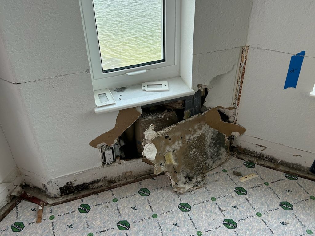 Water-Damaged Wall With Mold Near Window.
