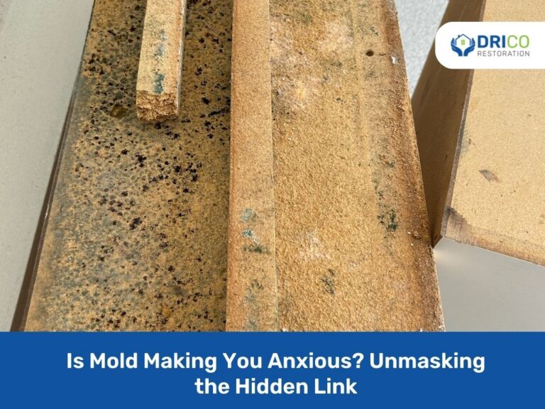 Is Mold Making You Anxious? Unmasking The Hidden Link 1