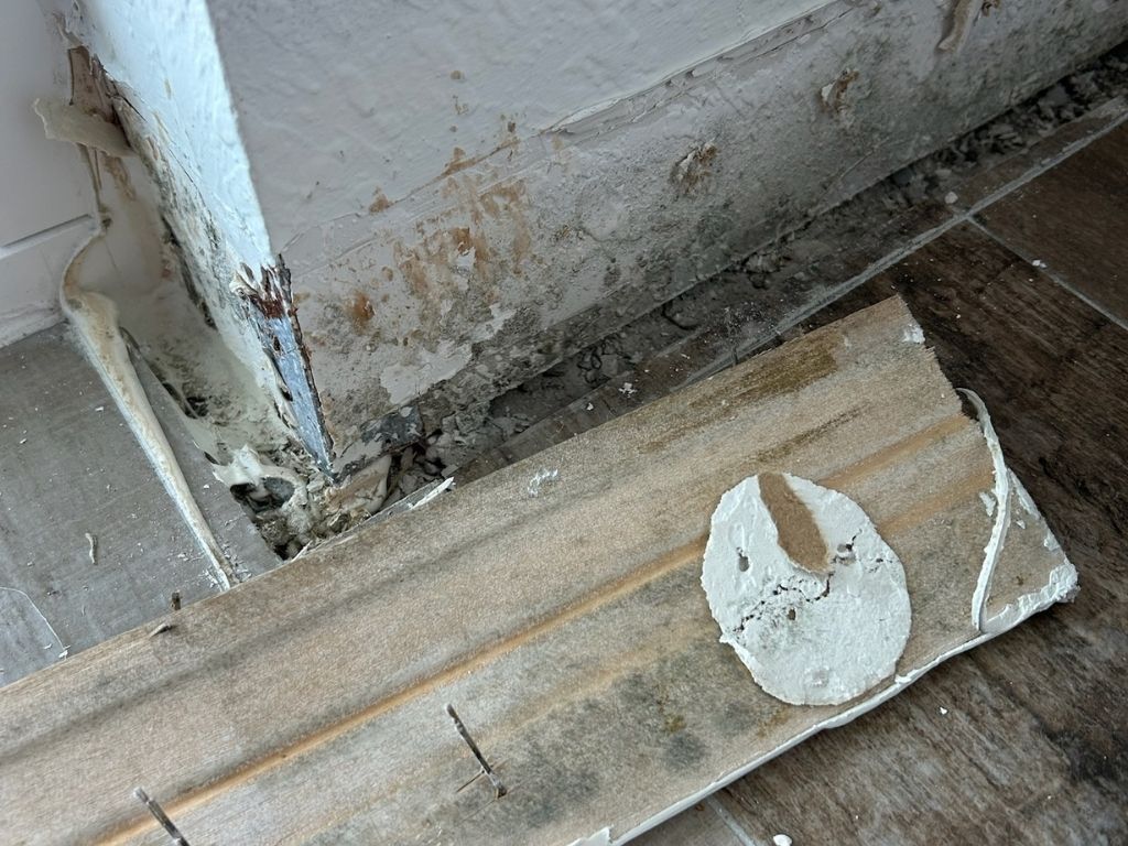 Visible Mold Damage On A Wall Corner In An Apartment With Peeling Paint And Exposed Drywall.
