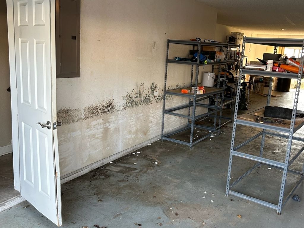 Mold Growth On A Garage Wall, Showing Visible Signs Of Water Damage And Moisture Intrusion.
