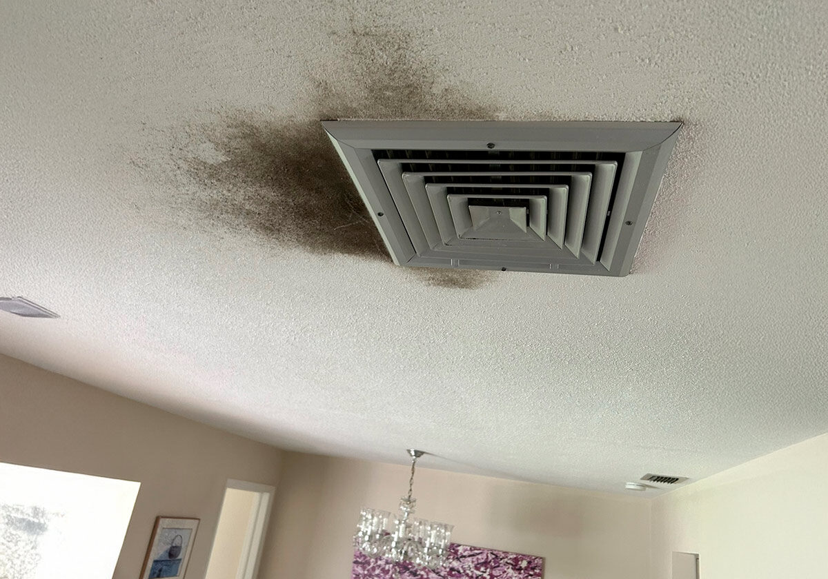 A Living Room Ceiling Fan Showing Visible Mold Growth, Highlighting The Need For Cleaning And Maintenance.