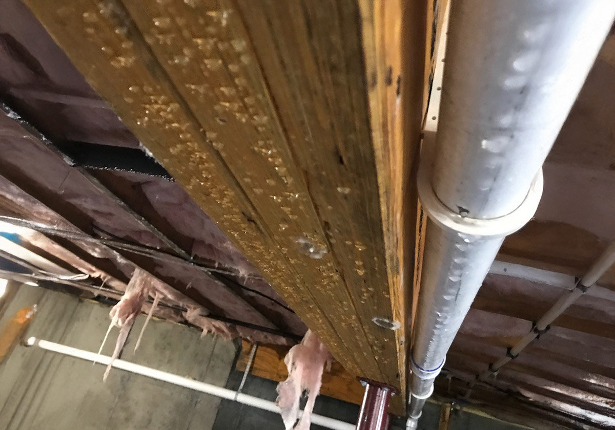Water,-Fire,-And-Mold-Remediation-Service-Areas17 A Pipe Suspended From The Ceiling In An Indoor Space, Showcasing The Room'S Industrial Design Elements.