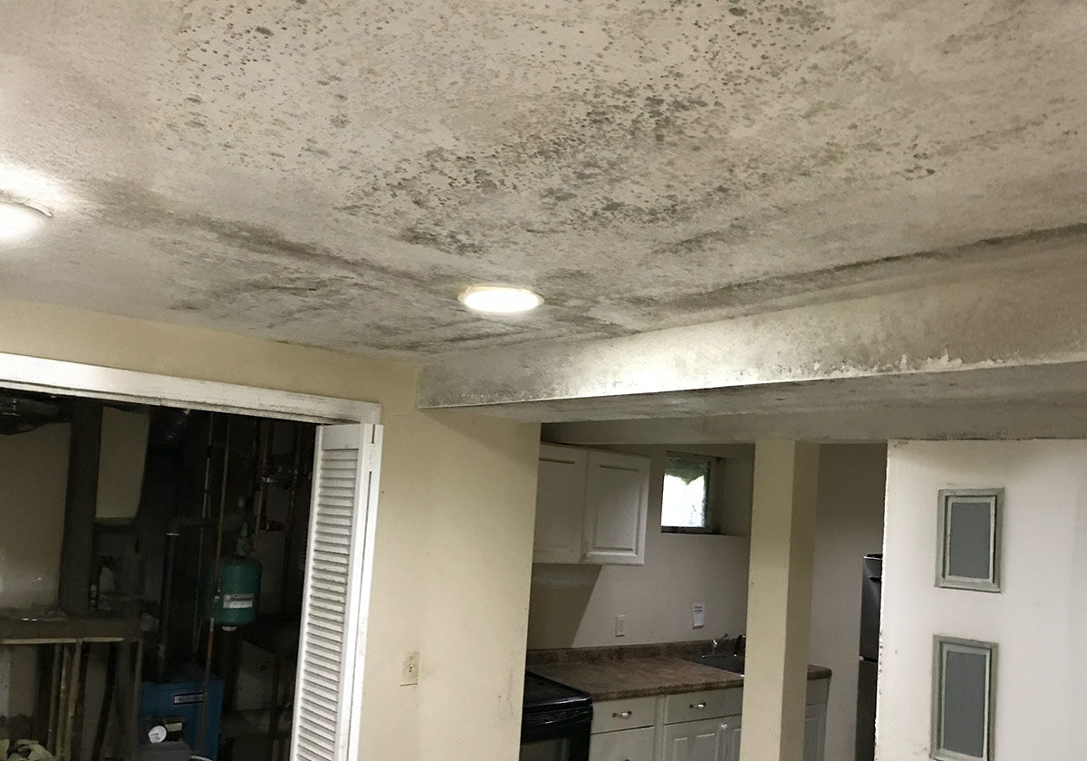 Basement With A Moldy Ceiling, Dim Lighting, And A View Of An Unfinished Kitchen Area With Appliances And A Window.