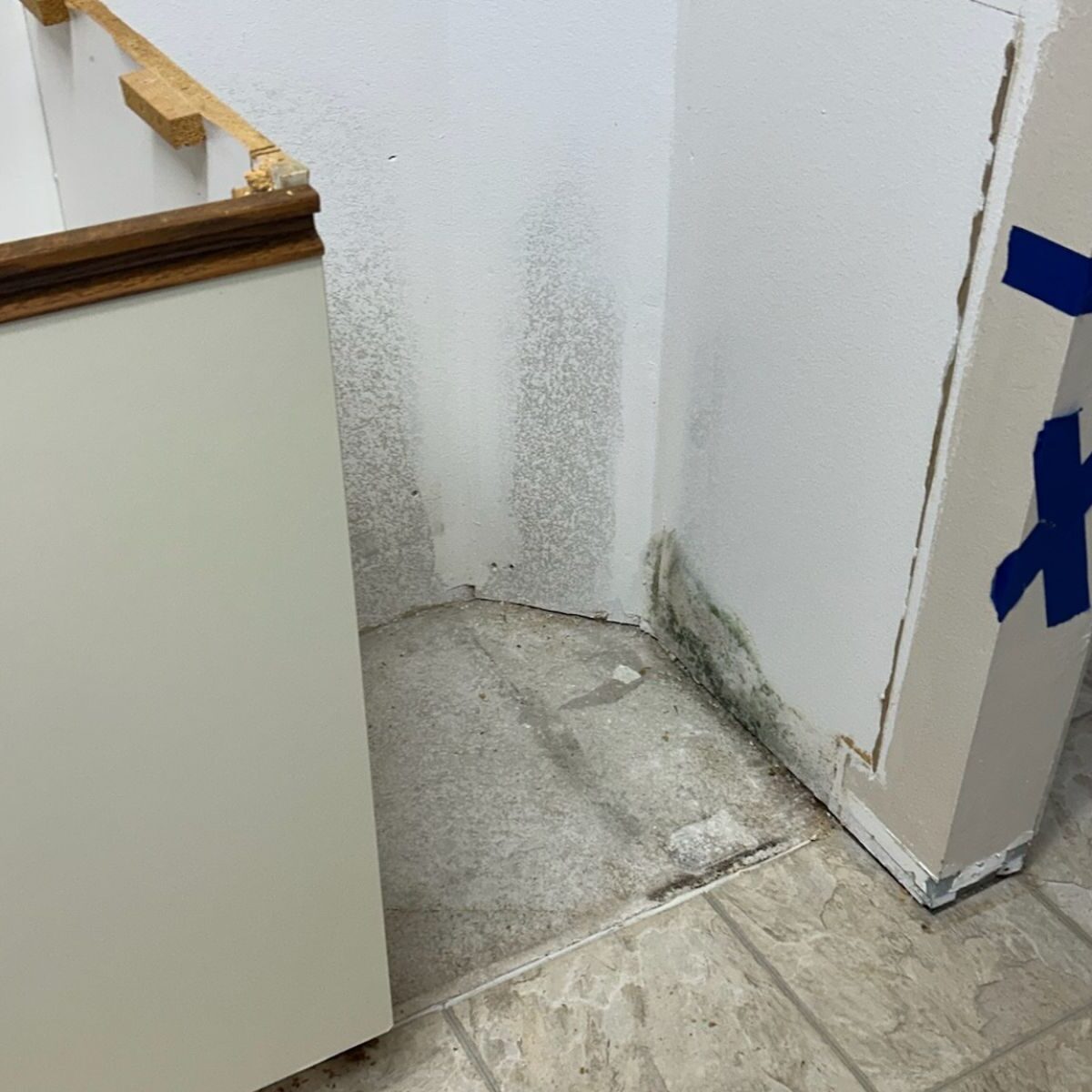 Active Mold Growth On Drywall Corner From Moisture Damage In Gulfport Fl Property