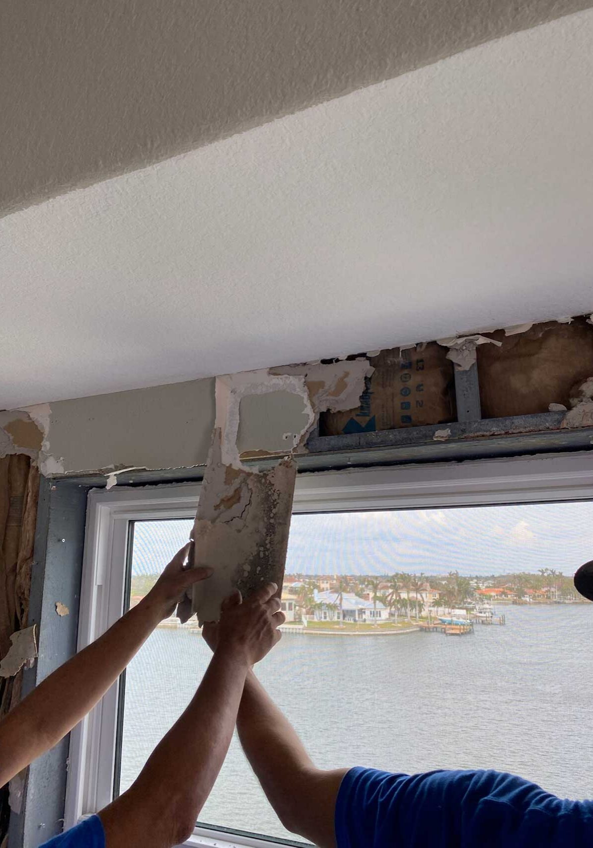 Commercial Mold Removal