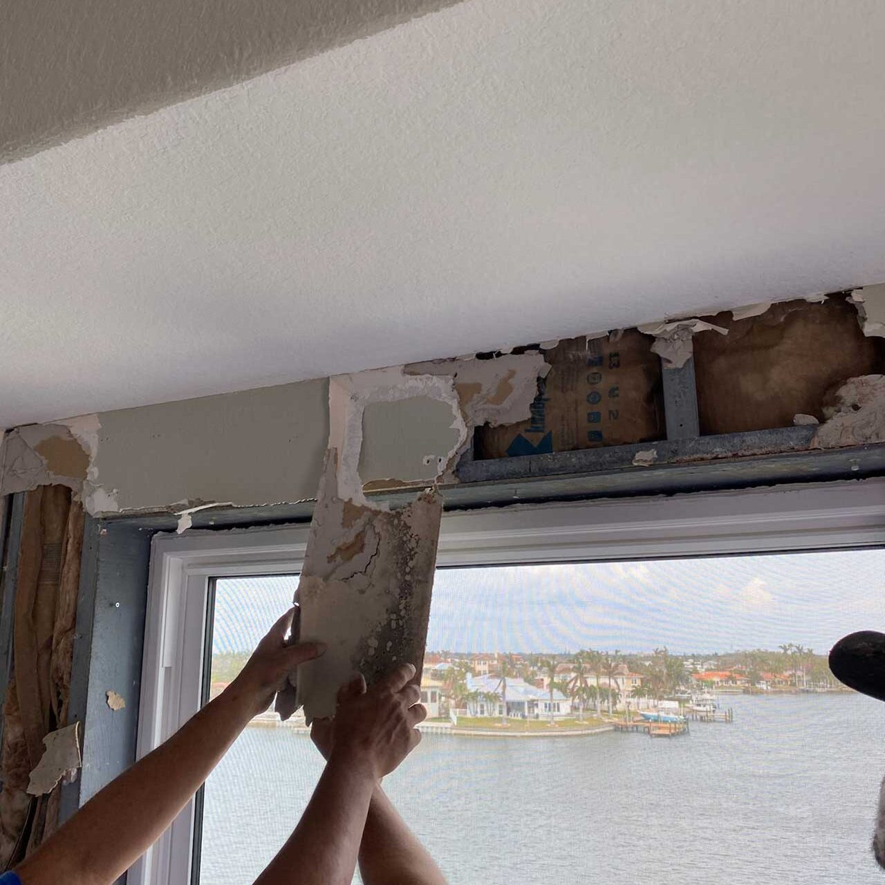 Commercial Mold Removal