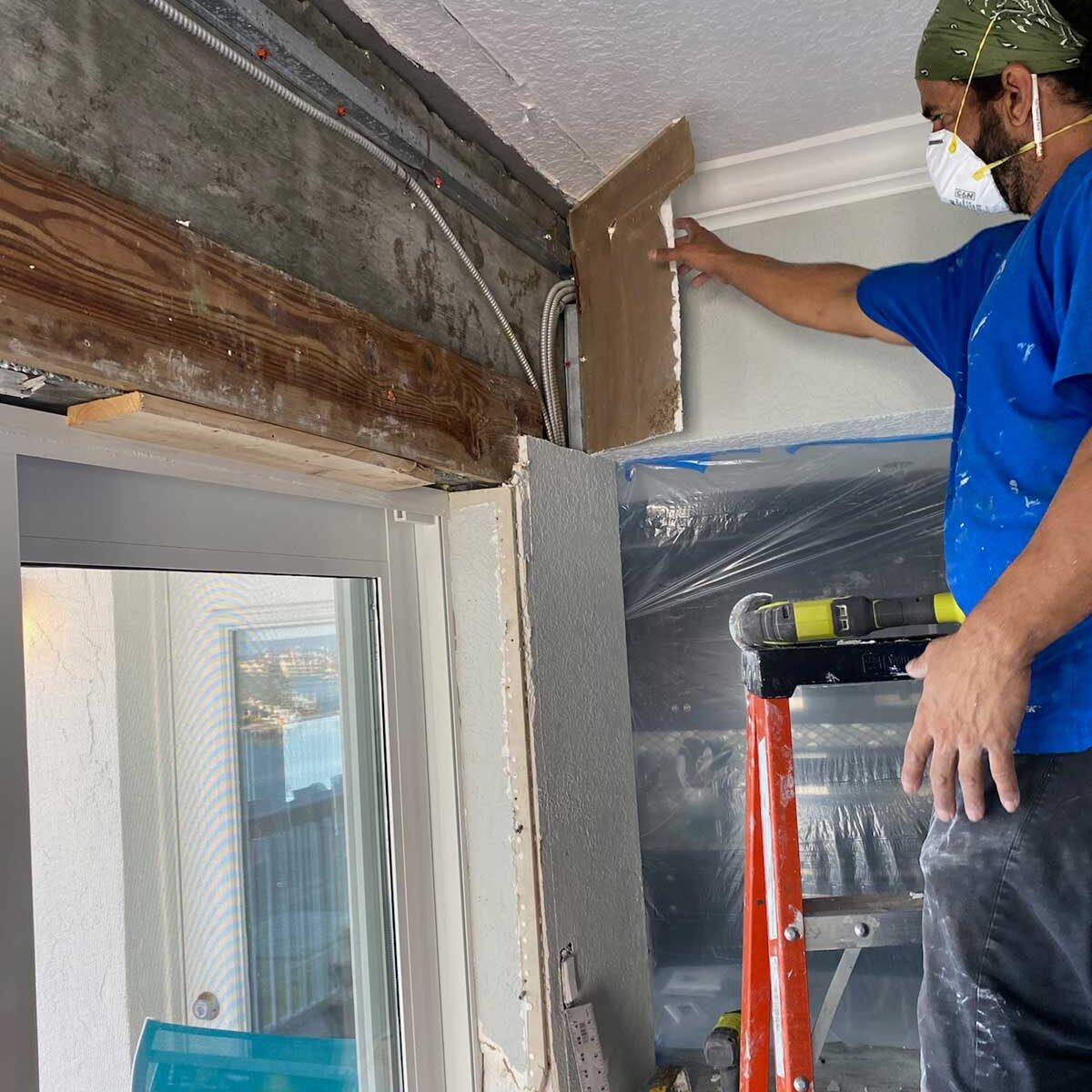 Mold Remediation Pinellas County, Fl