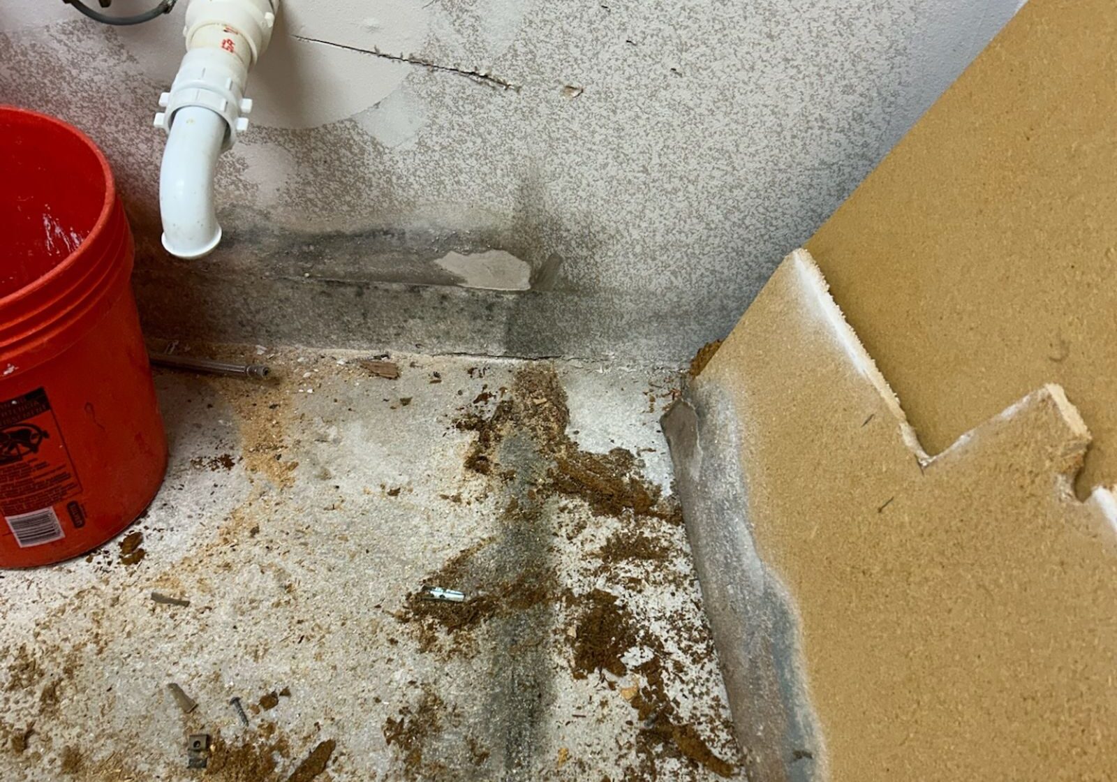 Mold Growth And Water Damage Under Plumbing Drain Line In Gulfport Fl Property