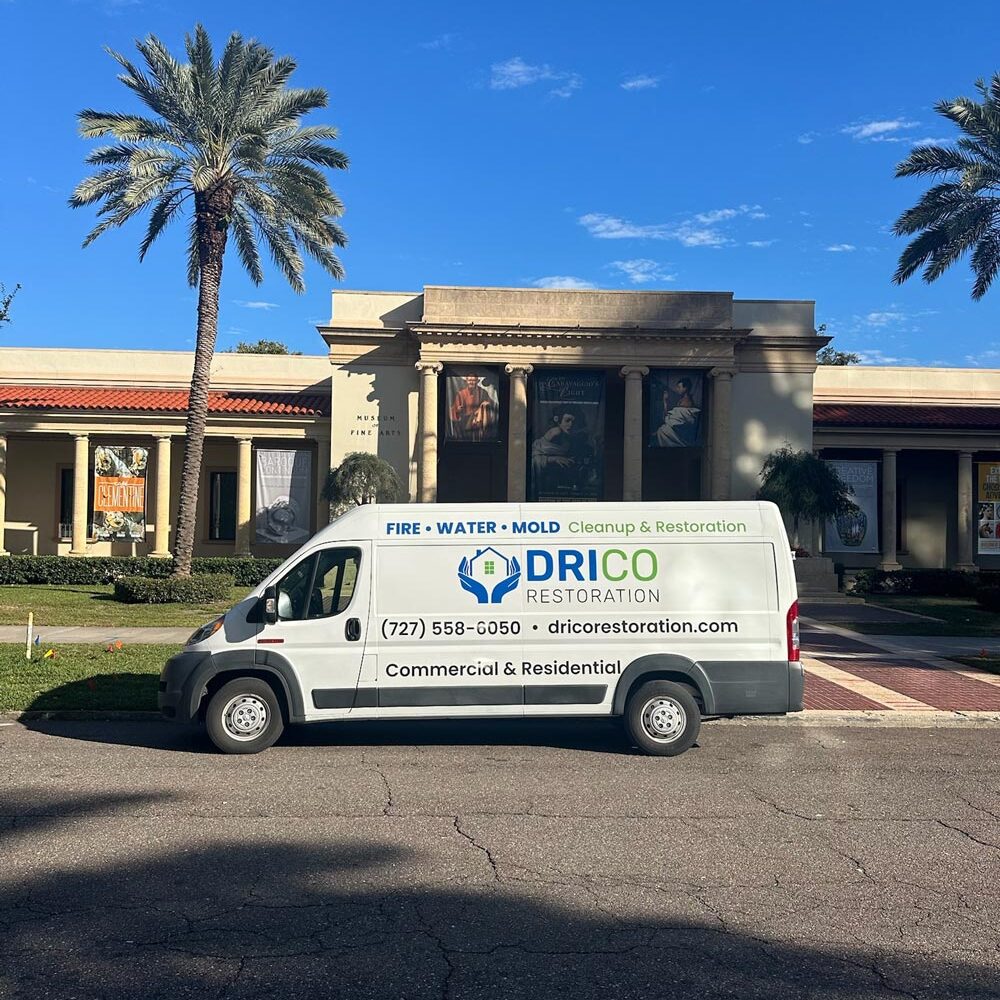 Drico Restoration Service Van Outside Museum Of Fine Arts In St Petersburg Fl