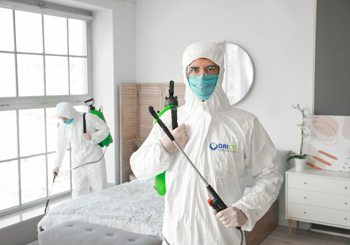 Worker In Safety Suit Disinfecting House Worker In Safety Suit Disinfecting House